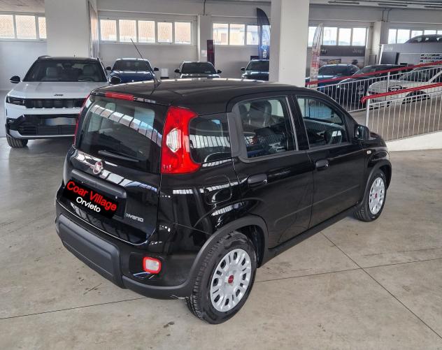 FIAT Panda Panda 1.0 firefly hybrid s&s 70cv - Foto 4