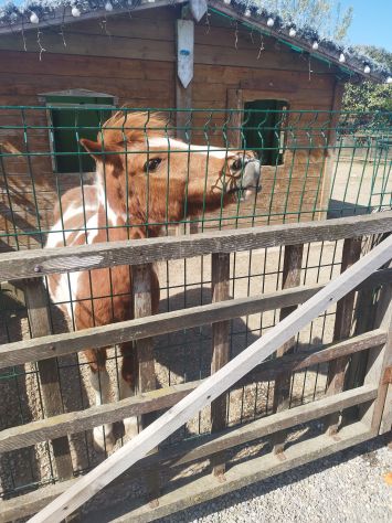 Cerco lavoro da casa confezionamento senza tirocini