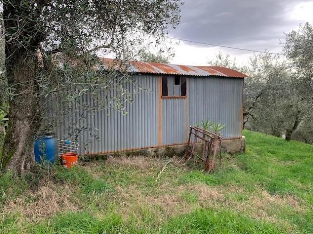 Terreno agricolo in vendita a Colle - Buggiano 5500 mq Rif: 1311347 - Foto 5