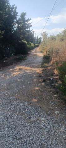 FOLLONICA VENDESI TERRENO AGRICOLO - Foto 5