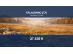 Immobile in asta di 17338 m² in vendita a Palagiano