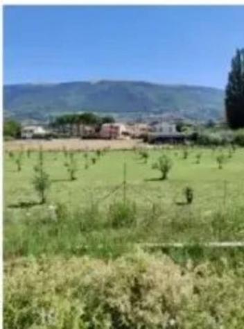 Immobile in asta di 1050 m² in vendita a Spello - Foto 6