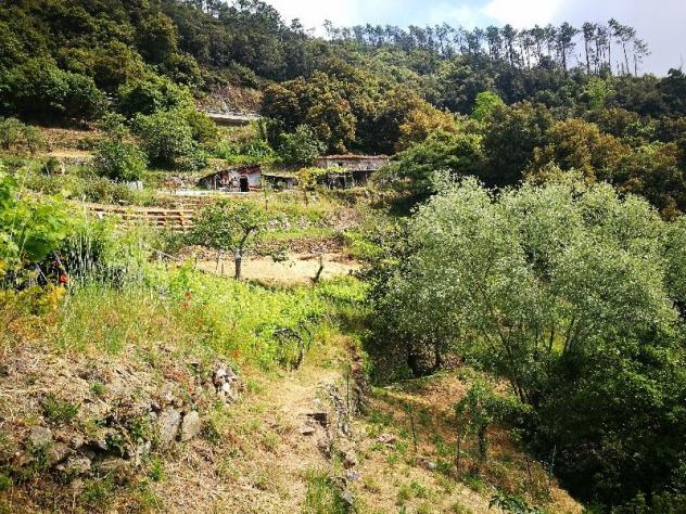 Rustico in vendita a Vernazza 30 mq Rif: 1043356 - Foto 3