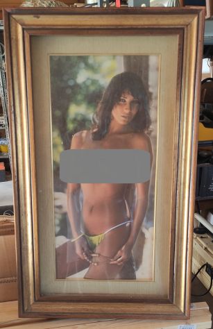 Quadro "Plastigrafia stampata a rilievo su celluloide"