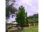B&B Cavatufo