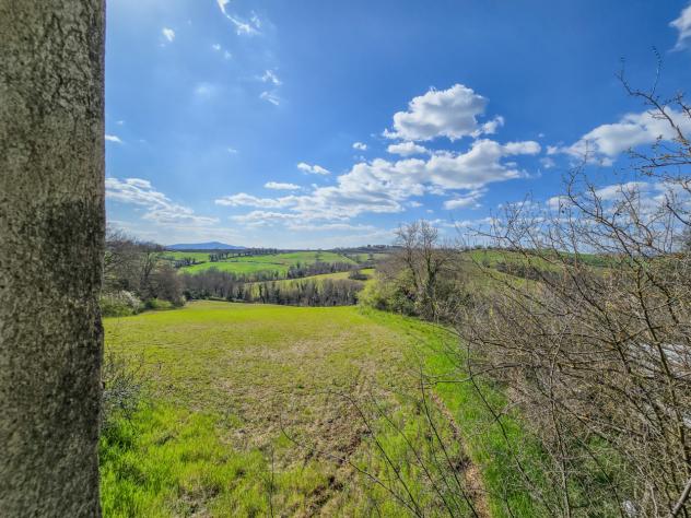 Casale in vendita a Civitella Paganico - Foto 10