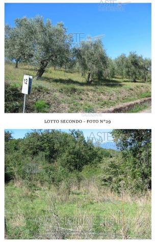 IMMOBILI-ALTRA CATEGORIA-Contrada Serra - Foto 2