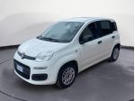 FIAT Panda PANDA 1.2 EasyPower Gpl 70cv