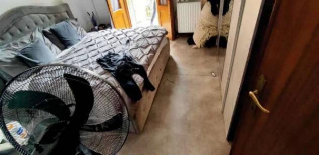 Immobile in asta di 112 m² con più di 5 locali in vendita a Roveredo in Piano - Foto 5