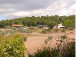 Azienda Agricola in vendita a Montecatini Val di Cecina