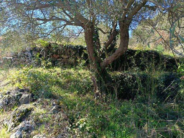 Terreno in vendita a Piedimonte Etneo - Foto 9