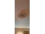 LAMPADARIO BAROVIER & TOSO MURANO FOGLIE VETRO SOFFIATO- RUGIADA CHIARO