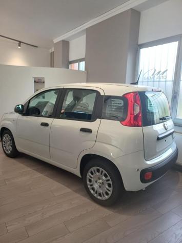 FIAT Pandina Pandina 1.0 FireFly 65 CV Hybrid Icon - Foto 7
