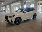 BMW X3 Serie X XDRIVE20D