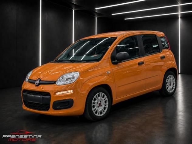 FIAT Panda 1.0 FireFly S&S Hybrid rif. 23725226