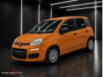 FIAT Panda 1.0 FireFly S&S Hybrid rif. 23725226