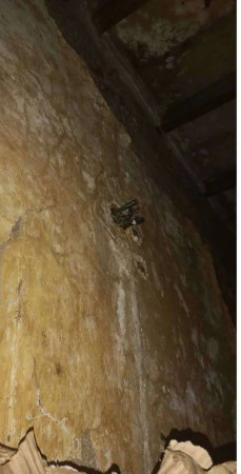 Immobile in asta di 155 m² con più di 5 locali in vendita a Genova - Foto 15