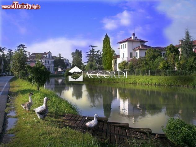 RIFERIMENTO FC118 - VILLA VENETA DEL 1700 CON IMPORTANTE PARCO STORICO - Foto 9