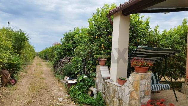 Terreno in vendita a Noto, San Lorenzo - Foto 3