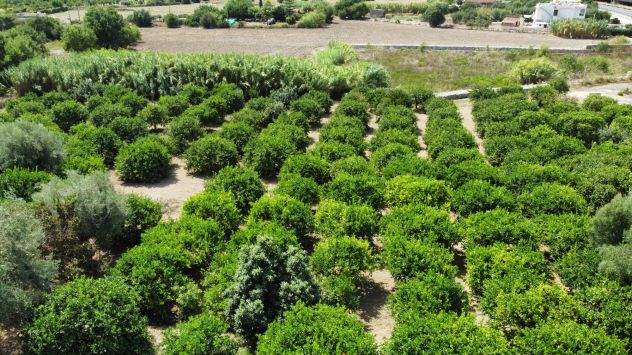 Terreno in vendita in SP59 s.n.c., Lido di Noto - Calabernardo, Noto - Foto 3