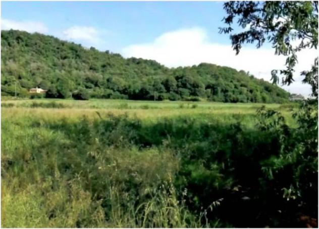 Immobile in asta di 18225 m² in vendita a Teolo - Foto 7