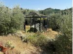 Terreno agricolo in vendita a Montecastello - Pontedera 5110 mq  Rif: 1425459