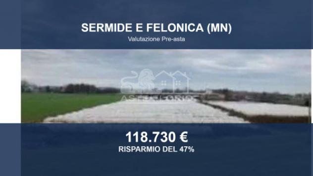 Immobile in asta di 59330 m² in vendita a Sermide e Felonica