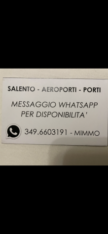 private car for transfers to and from Salento