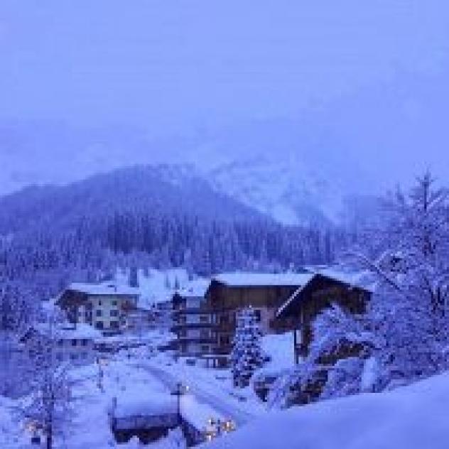 Hotel Savoia di Michela e Cristian Marin & C. S.a.s. - Foto 4