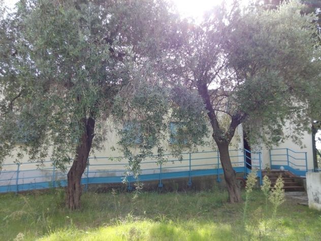 Fabbricati di ex colonia a Pietra Ligure (SV) - Foto 4