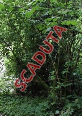 Immobile in asta di 20 m² in vendita a Besana in Brianza