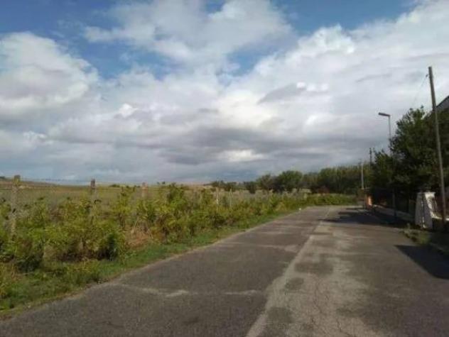 Immobile in asta di 281311 m² in vendita a Guidonia Montecelio - Foto 14