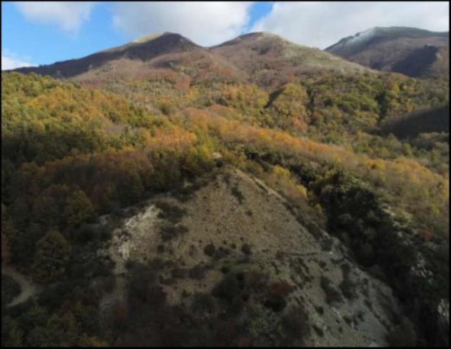 Immobile in asta di 997304 m² in vendita a Lagonegro - Foto 3