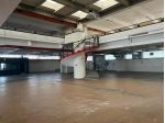 Capannone commerciale in vendita a Oltrarno - Calcinaia 2895 mq  Rif: 1344460