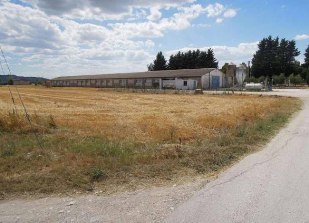 Immobile in asta di 120600 m² in vendita a Bastia Umbra - Foto 15