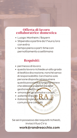 Collaboratrice Domestica in Germania