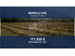 Immobile in asta di 4264 m² in vendita a Morolo