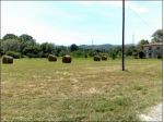 Terreno agricolo in vendita a Sarzana 5000 mq  Rif: 1123247