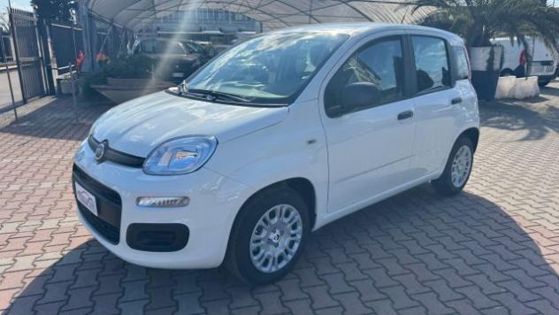 FIAT Pandina 1.0 FireFly Hybrid 65cv POP KMO rif. 23669471 - Foto 4