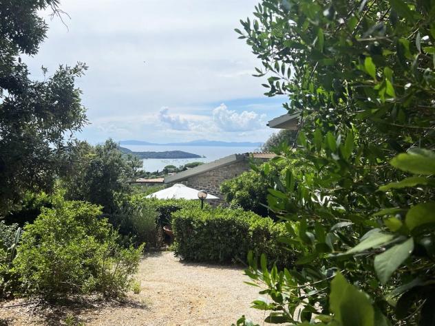Splendida ed Esclusiva Proprietà Incastonata nella Dolce Collina di Punta Ala - Foto 19
