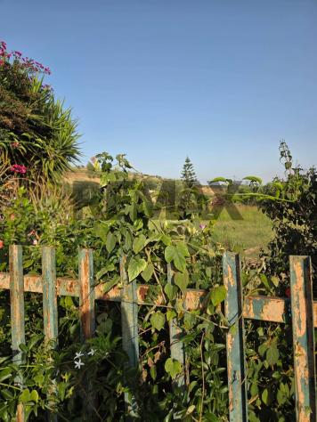 Terreno in vendita a Caltagirone - Foto 9