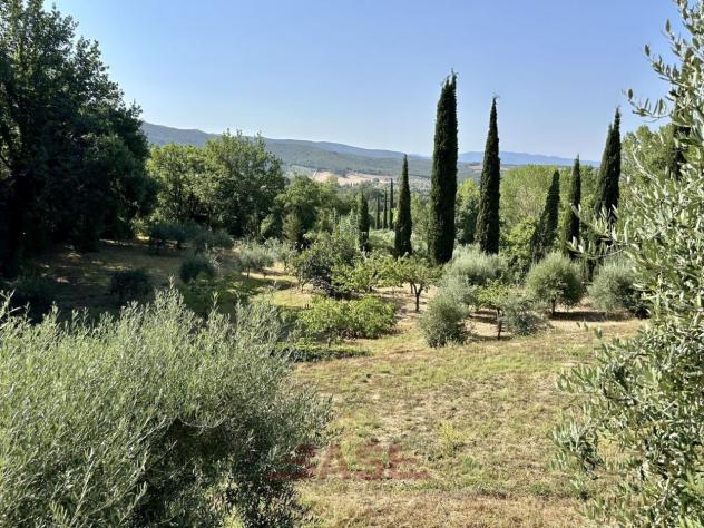 Terreno edificabile in vendita a Casale Marittimo - Foto 16