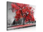 Quadro Con Gli Alberi Rossi 90x60 E 120x80 ARREDALACASA