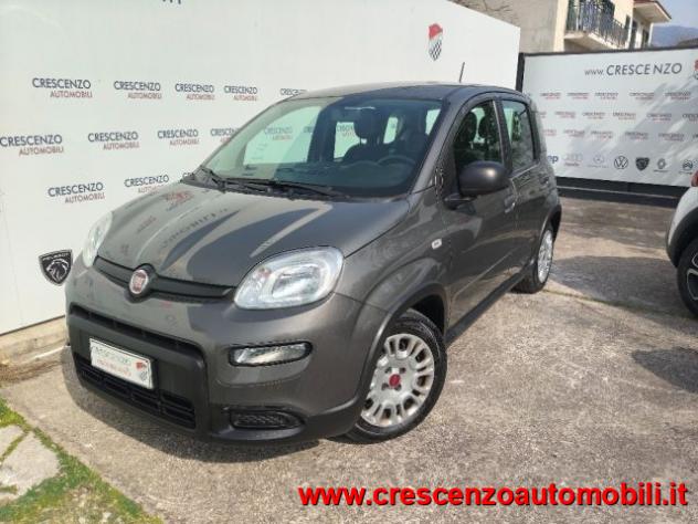 FIAT Panda 1.0 FireFly S&S Hybrid City Life - AZIENDALE rif. 23795806