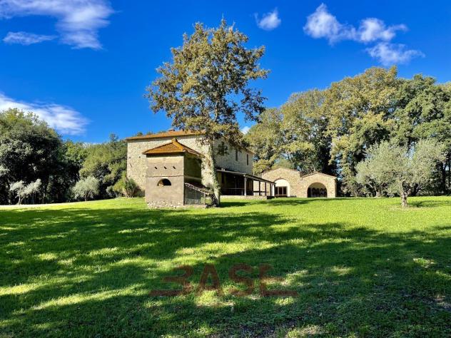 Azienda Agricola in vendita a Guardistallo - Foto 5