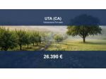 Immobile in asta di 23970 m² in vendita a Uta
