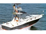 Splendido fisherman Pro-line 33 express flybridge