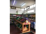 Alimentari in vendita a Marina di Carrara - Carrara 100 mq  Rif: 1246597
