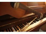 Organista Lainate