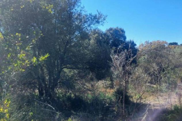 Immobile in asta di 10919 m² in vendita a Fiumefreddo di Sicilia - Foto 6